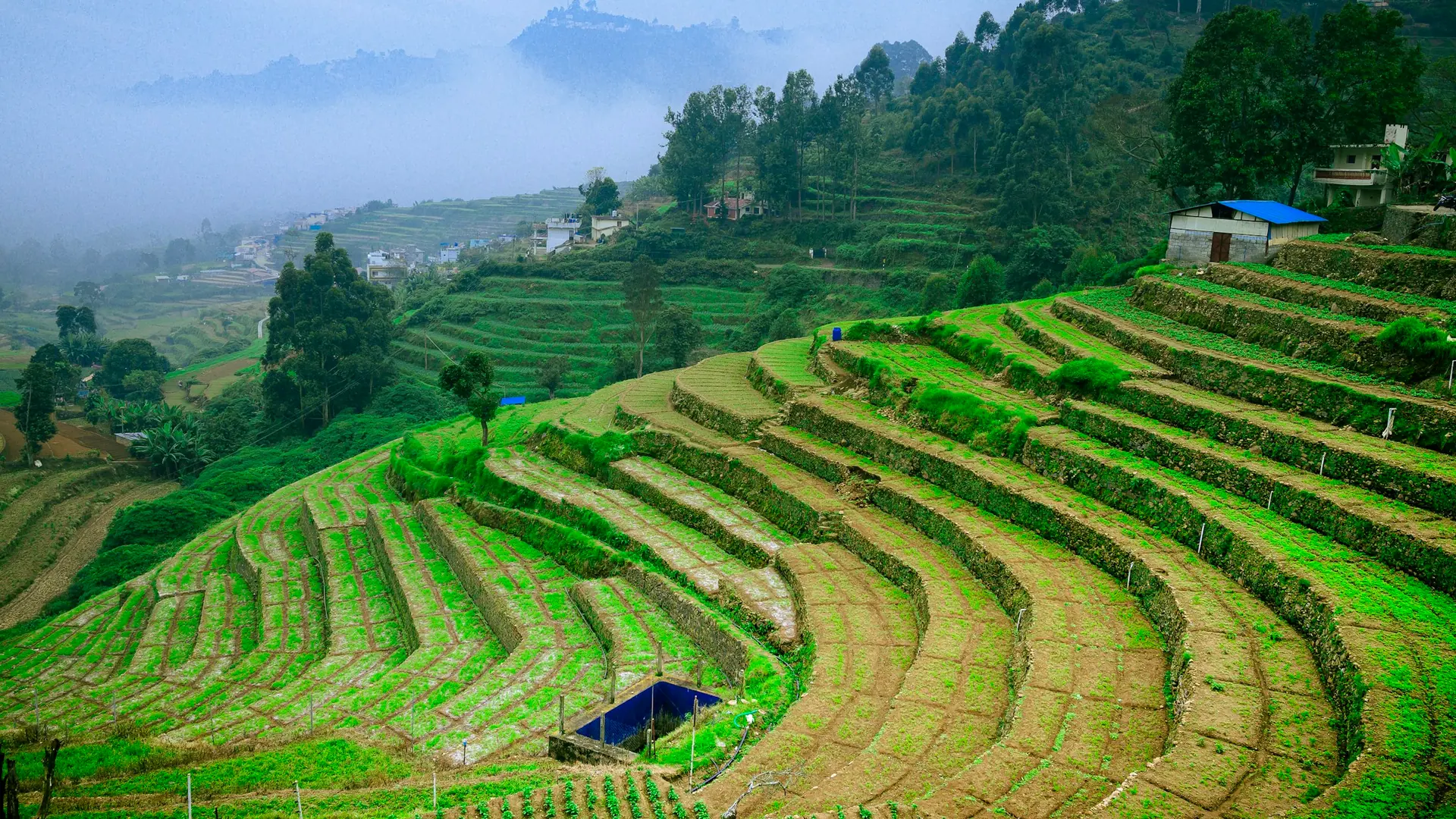 Food & agriculture investment sector in Nepal